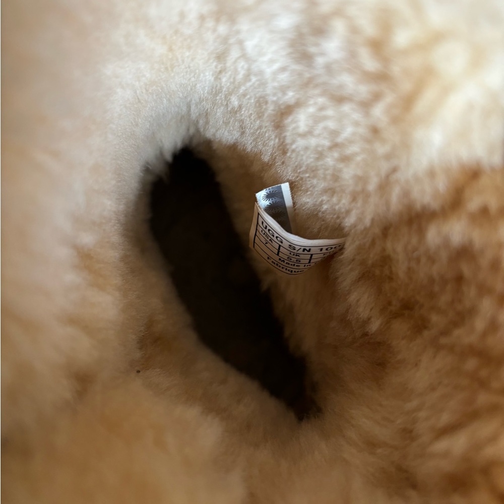 UGG Short Dylyn Boot - Picture 10 of 11